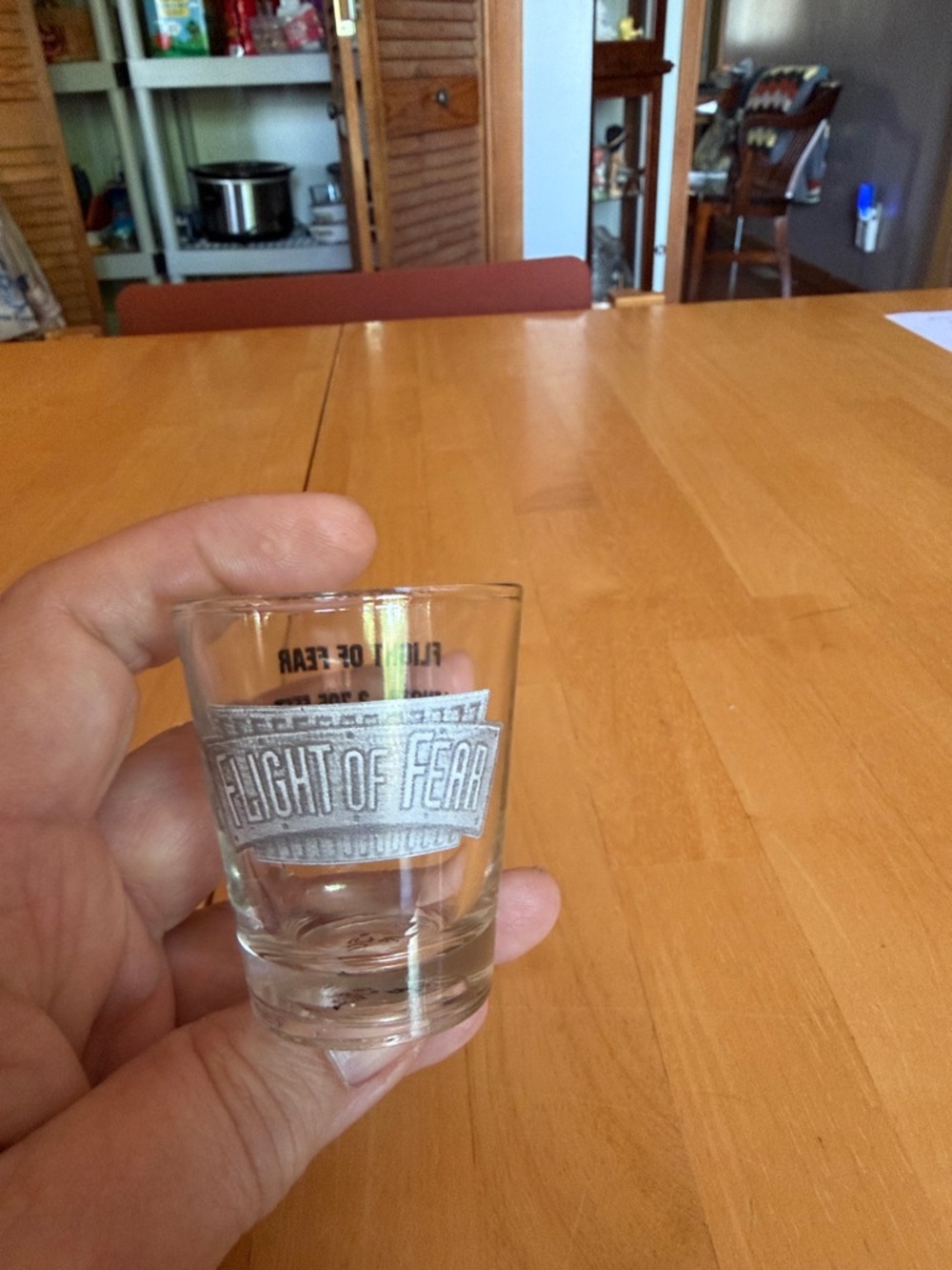 Flight of Fear Branded Clear Glass Shot Glass - Silver Accent